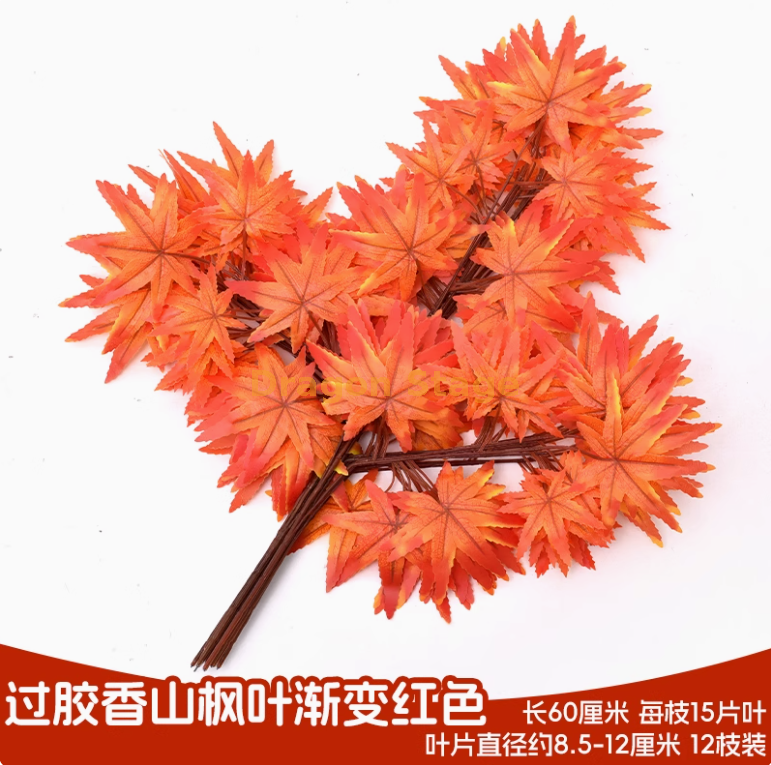 过胶香山枫叶渐变红（12枝）