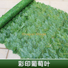 Simulated green plant wall, plastic fence, fence, outdoor color printed grape leaves (1 meter * 3 meters), bundled with silk and 3 butterflies