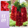 Simulated wisteria tofu pudding string violet false ceiling flower rattan interior wedding decoration Antie wisteria [ultra dense] red (6 branches)