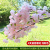 Simulated bark, green plants, flowers, vines, leaves, wrapped in water pipes, decorated with 4-fold pink super dense cherry blossoms (5 branches)