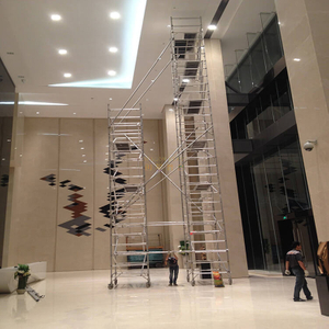 outdoor double scaffolding with climbing ladder.jpg