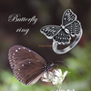 Statement Women Rings Jewelry 925 Sterling Silver Black Big Fashion Butterfly Rings