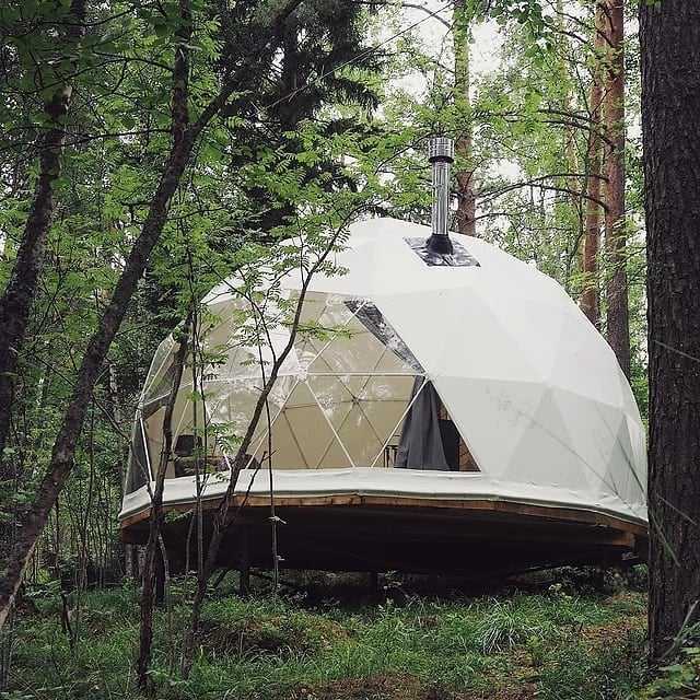 dome tent in forest