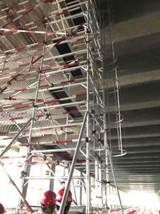 9m Aluminum Custom Double Scaffolding with Clambing Ladder