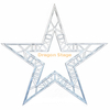 Custom Star Shape Truss Aluminum for Wedding Decoration Art Design