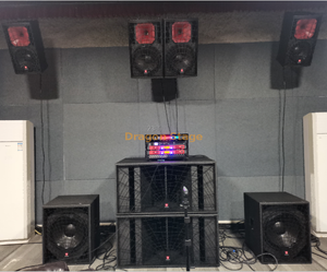 Italy Design Professional Audio Loudspeaker for High Class Pub / Bar