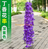 Simulated wisteria tofu pudding string violets false ceiling rattan camel new 4-branch clove flower - dark purple 1 branch