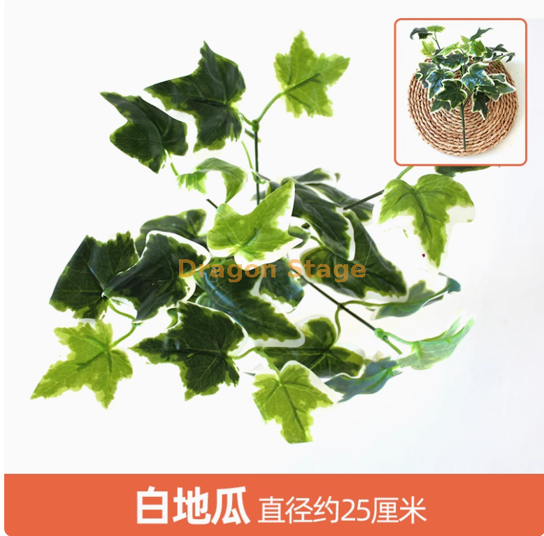 银色 白地瓜叶1枝