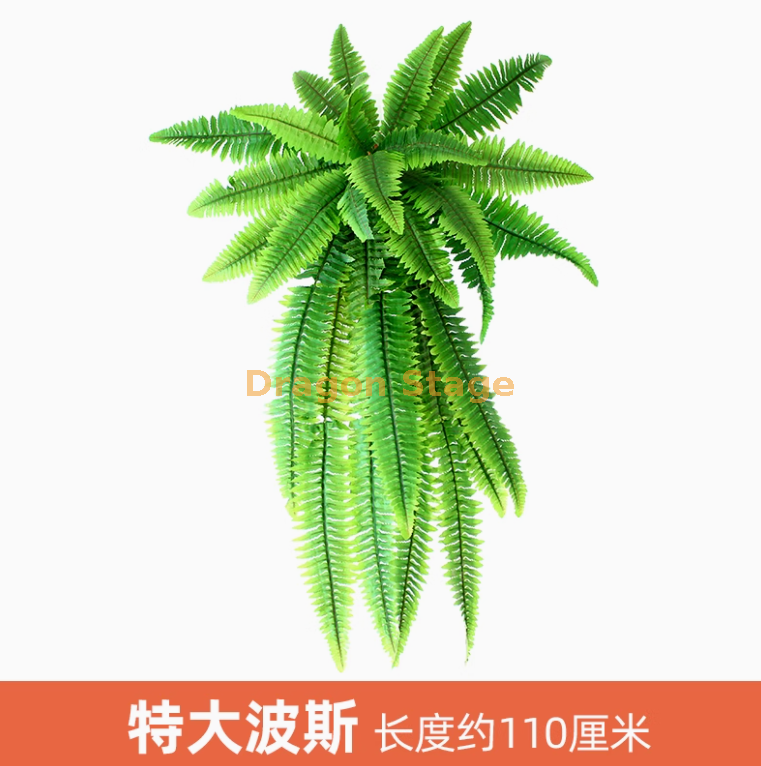 浅棕色 特大波斯1枝