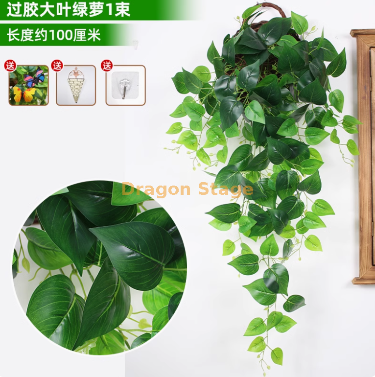 浅绿色 大叶铁丝绿萝（送三角篮）