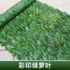 Simulated green plant wall, plastic fence, fence, outdoor color printed green ivy leaves (1 meter * 1 meter), bundled with silk and 2 butterflies