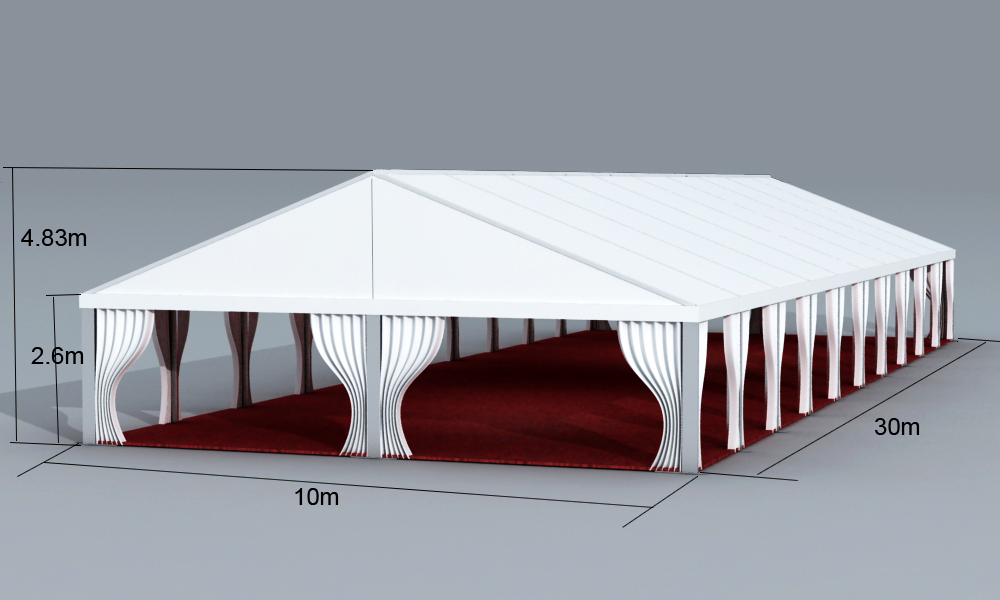 10m span tent 30m long1 (2).jpg