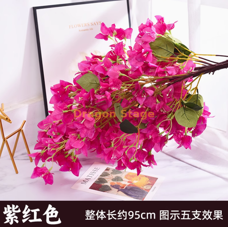 紫红色-加密三角梅1枝