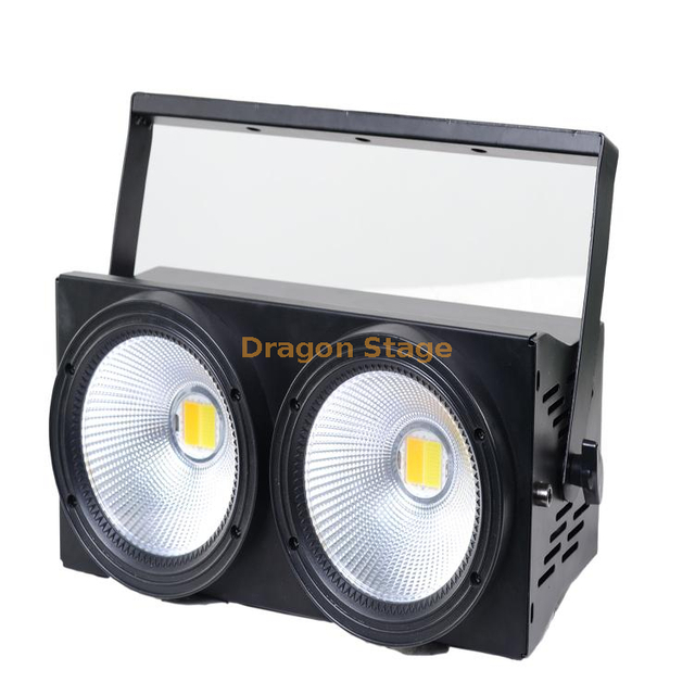 2x100W Positive+warm White LED Cob Light