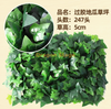 Green plants, simulated plant walls, plastic lawns, balconies, indoor backgrounds, flower walls, military green, glued sweet potatoes, lawns