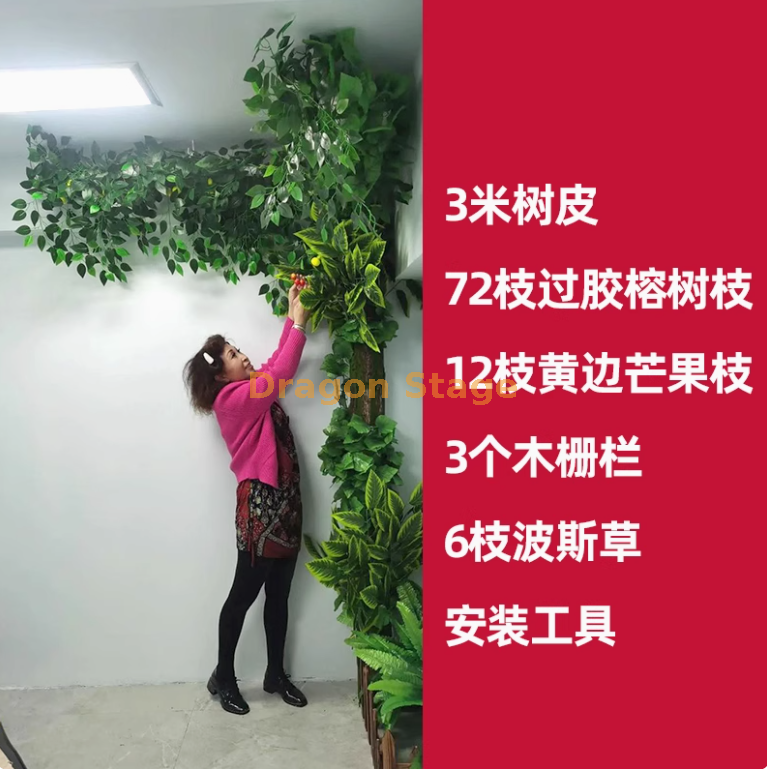 金色 树皮套装24