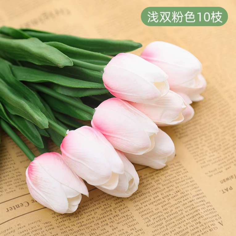 浅双粉郁金香（50枝）