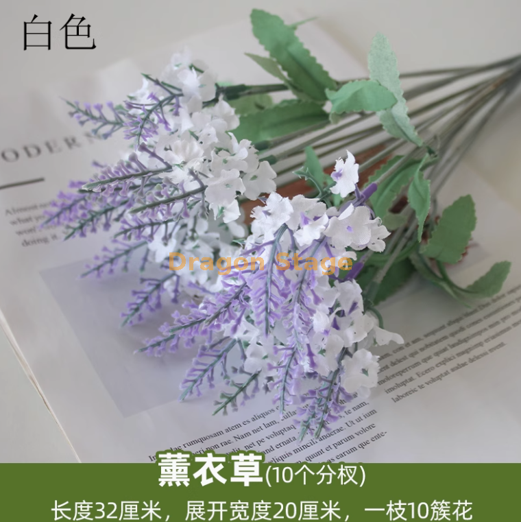 白色薰衣草