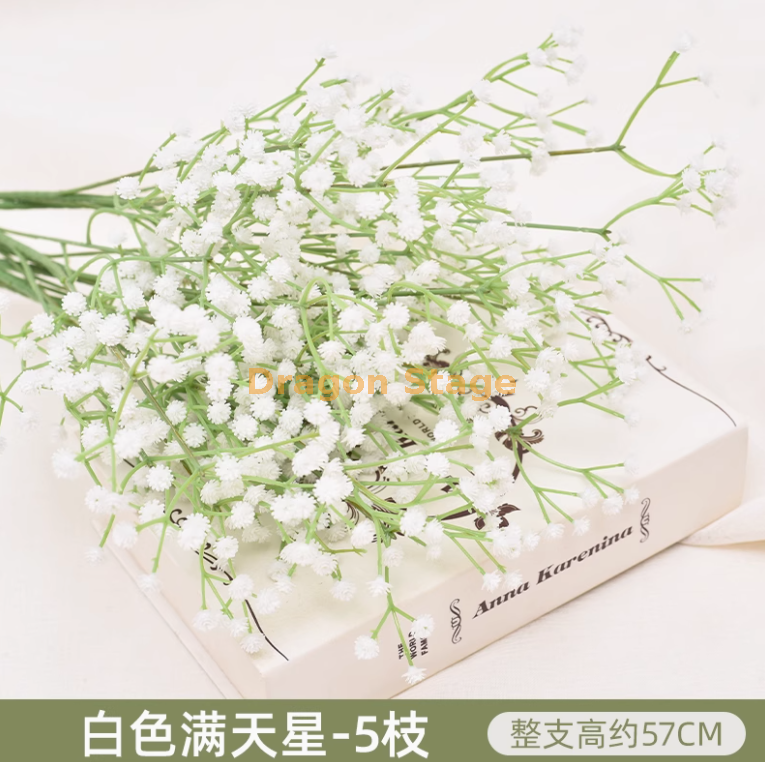 白色 满天星5枝